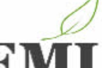 cropped-meemi-logo.jpg cropped-meemi-logo.jpg